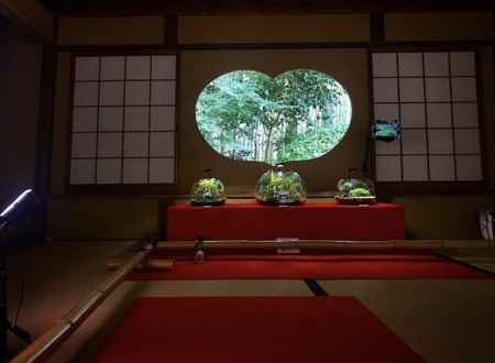 2019 地蔵院の苔寺リウム