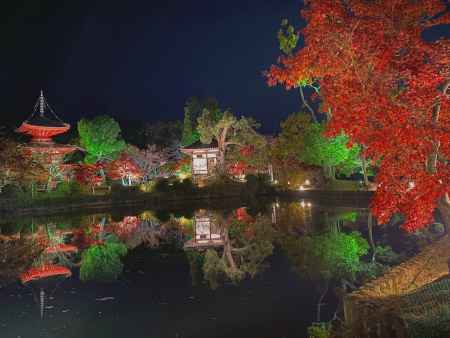 2019 大覚寺紅葉