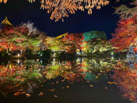 2019 東寺紅葉
