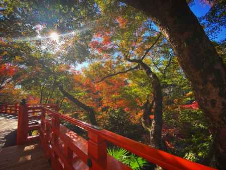 2019 北野天満宮紅葉