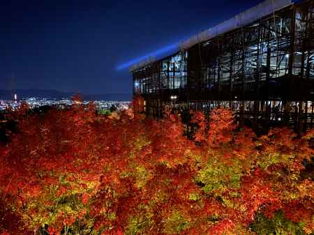 2019 清水寺紅葉2