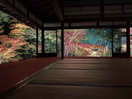 2019 天授庵紅葉