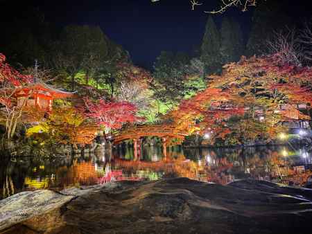 2019  醍醐寺紅葉