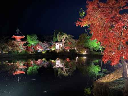 2019 大覚寺紅葉