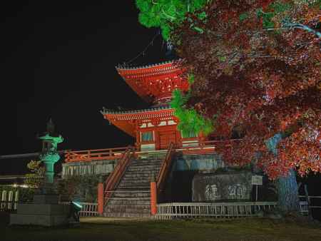 2019 大覚寺紅葉