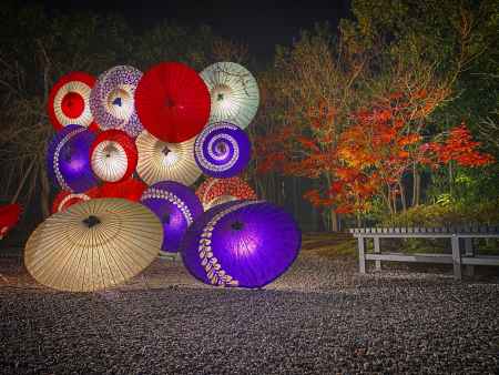 2019 嵐山花灯路4