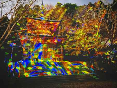 2019 嵐山花灯路　法輪寺