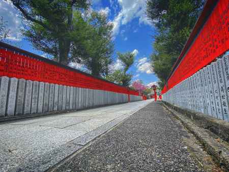 2020 春　車折神社