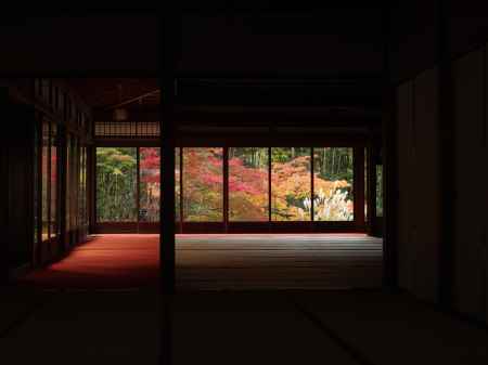 2019　盛秋　天授庵　1