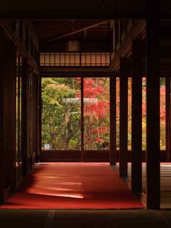 2019　盛秋　天授庵　3