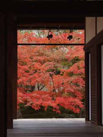 2019　盛秋　天授庵　4