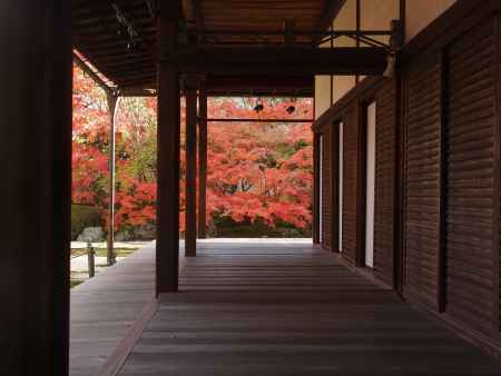 2019　盛秋　天授庵　5