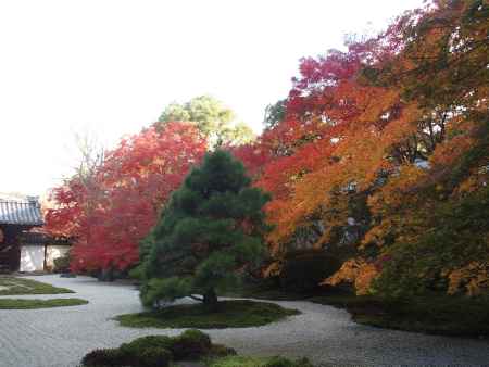 2019　盛秋　天授庵　12
