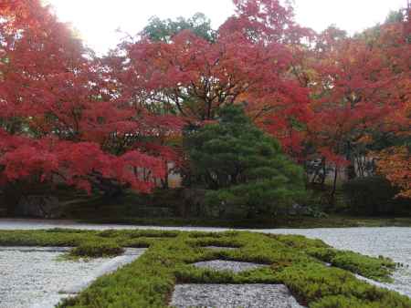 2019　盛秋　天授庵　13