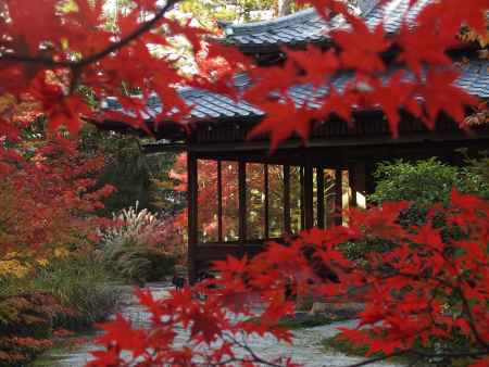 2019　盛秋　天授庵　14