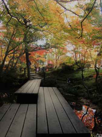 2019　盛秋　天授庵　15