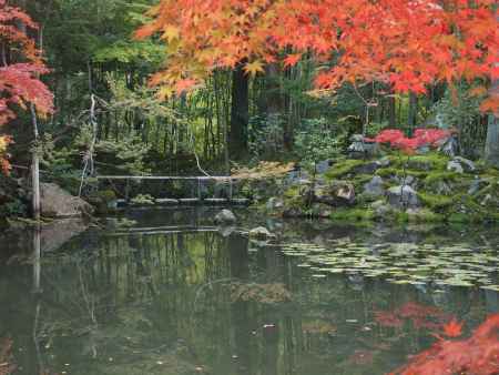 2019　盛秋　天授庵　17