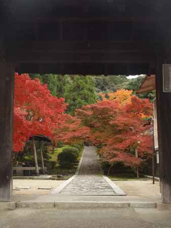 2019年　盛秋　酬恩庵一休寺　1