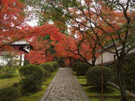 2019　盛秋　酬恩庵一休寺　3