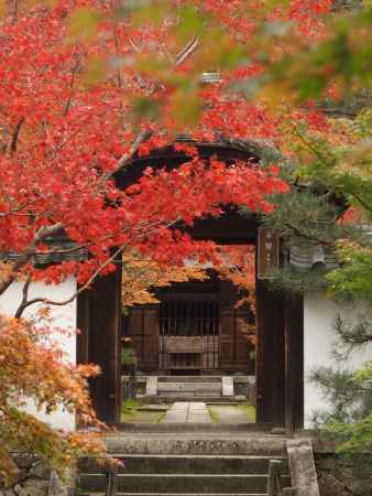 2019　盛秋　酬恩庵一休寺　4