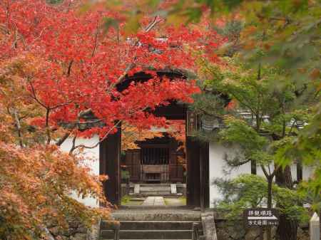 2019　盛秋　酬恩庵一休寺　5