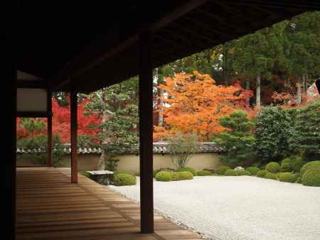 2019　盛秋　酬恩庵一休寺　11