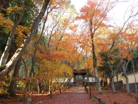 2019　盛秋　竹の寺　地蔵院　1