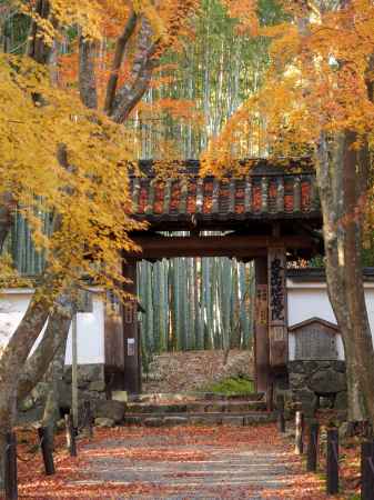 2019　盛秋　竹の寺　地蔵院　4