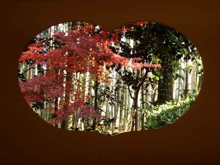 2019　盛秋　竹の寺　地蔵院　7