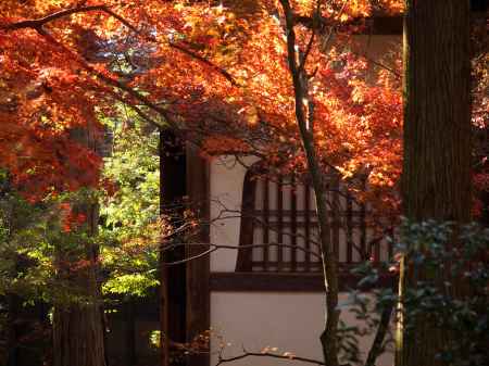 2019　盛秋　竹の寺　地蔵院