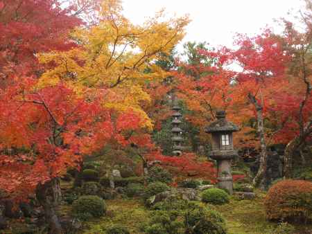 2019　盛秋　南禅寺　大寧軒　3