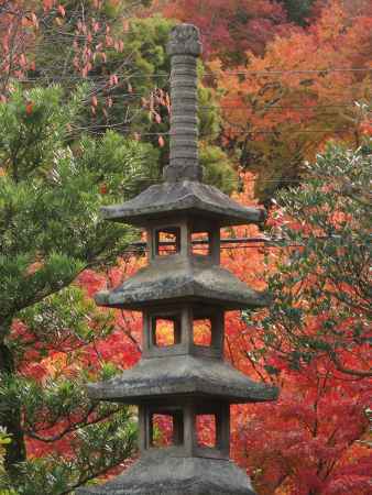 2019　盛秋　南禅寺　大寧軒　5