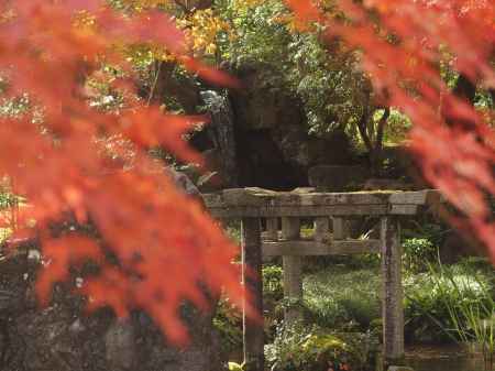 2019　盛秋　南禅寺　大寧軒　8