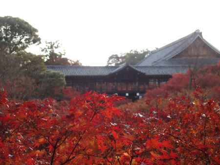 2019　盛秋　東福寺　1