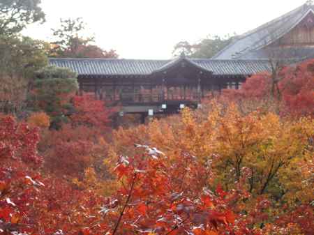 2019　盛秋　東福寺　2