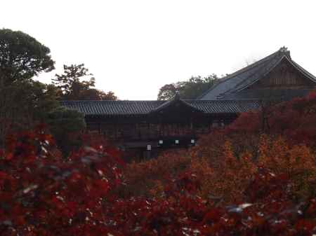 2019　盛秋　東福寺　3