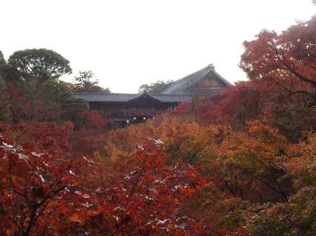 2019　盛秋　東福寺　4