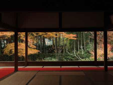 2019　盛秋　宝泉院　1