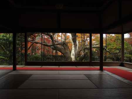 2019　盛秋　宝泉院　3