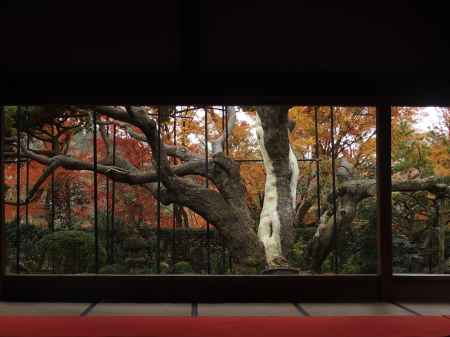 2019　盛秋　宝泉院　4