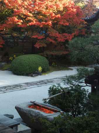 2019　盛秋　妙顕寺　2