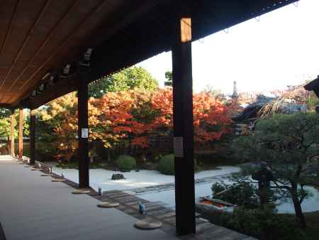 2019　盛秋　妙顕寺　6