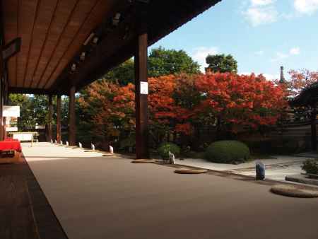 2019　盛秋　妙顕寺　7