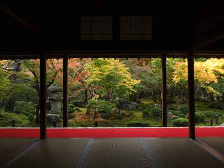 2019　初秋　圓光寺　1