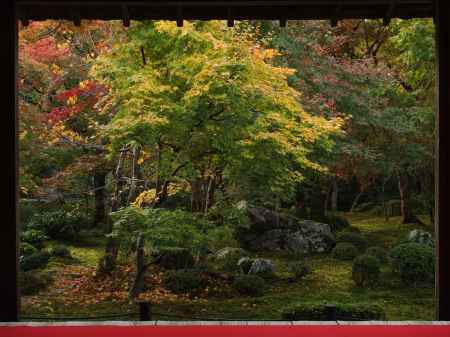 2019　初秋　圓光寺　3