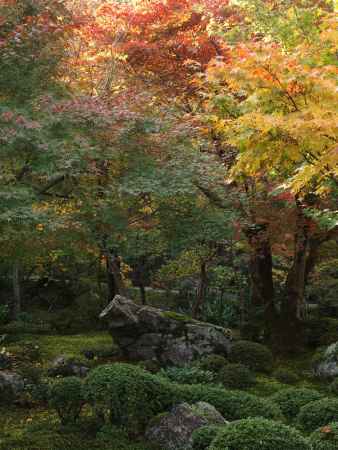2019　初秋　圓光寺　6