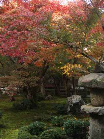 2019　初秋　圓光寺　7