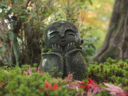 2019　初秋　圓光寺　11