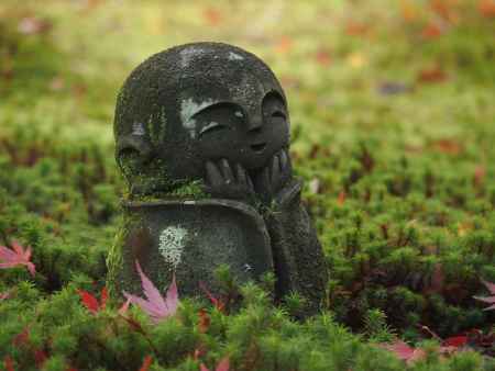 2019　初秋　圓光寺　12