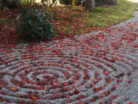 2019　初秋　圓光寺　13